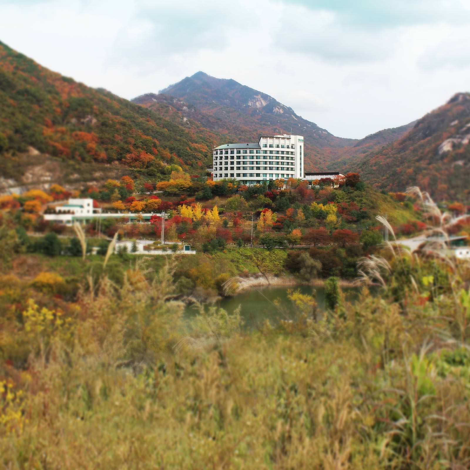 Cheongpung Resorts views