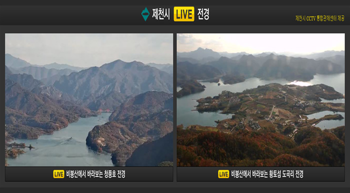 카페 에델리아
